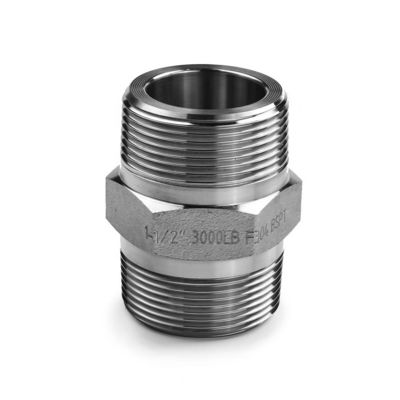 SS304 316 316L Высокое давление кованые шестигранные соски 300 бар мужской нить равный/уменьшающий соски