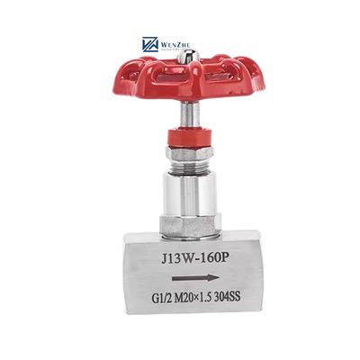 Высокое давление 1/2 "DN15 J13W-160P кованый сталь 304 316 316L игольный клапан