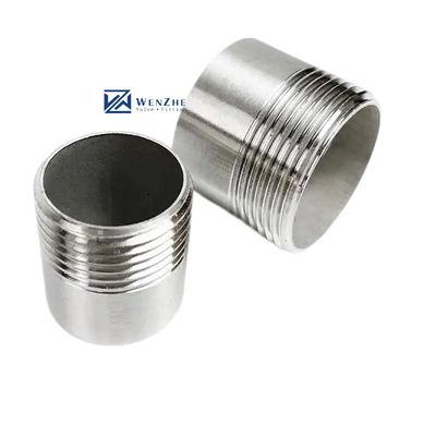 Серебряный WZ SS316 Мужской ствол Ниппл NPT BSPP BSPT G Threaded 2" Поддержка OEM